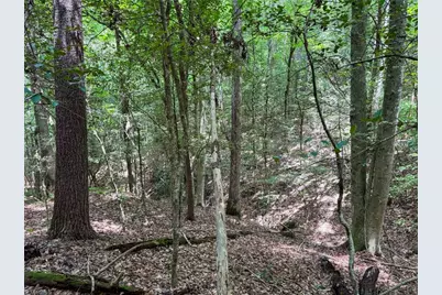 0 Rainbow Trout Drive, Hays, NC 28635 - Photo 15