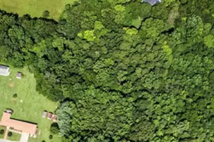 950 Totten Rd, Gibsonville, NC 27249 - Photo 7