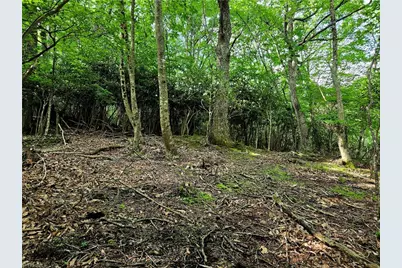 Tbd Red Fox Trail, Boone, NC 28607 - Photo 13