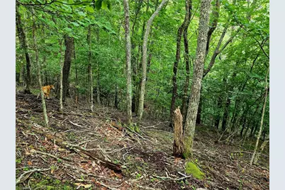 Tbd Red Fox Trail, Boone, NC 28607 - Photo 19