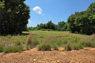 0 Chestnutt Oak Rd, Randleman, NC 27317 - Photo 7