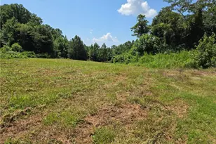 0 Chestnutt Oak Rd, Randleman, NC 27317 - Photo 9