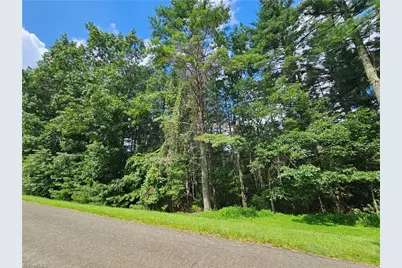 Tbd Holly Run, Glade Valley, NC 28627 - Photo 7