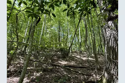 Tbd Widow Mountain Drive, McGrady, NC 28649 - Photo 11