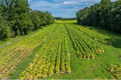 0 High Point Road, Kernersville, NC 27284 - Photo 11