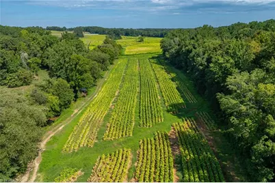 0 High Point Road, Kernersville, NC 27284 - Photo 9