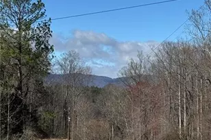 6043 N Nc Hwy 16, Millers Creek, NC 28651 - Photo 31