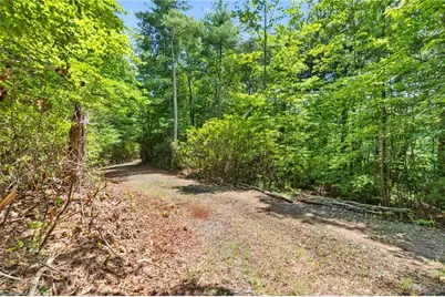 00 Clear Branch Drive, Millers Creek, NC 28651 - Photo 11