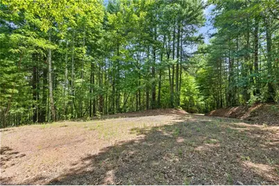 00 Clear Branch Drive, Millers Creek, NC 28651 - Photo 9