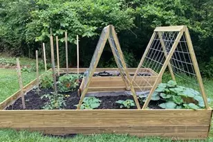 61 Haywood St, Denton, NC 27239 - Photo 45