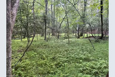 468 Sylvan Road, Thurmond, NC 28683 - Photo 5