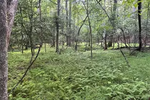 468 Sylvan Rd, Thurmond, NC 28683 - Photo 5