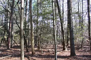 468 Sylvan Rd, Thurmond, NC 28683 - Photo 11