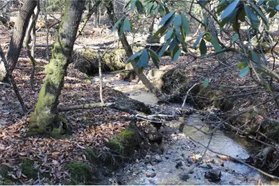 468 Sylvan Road, Thurmond, NC 28683 - Photo 1