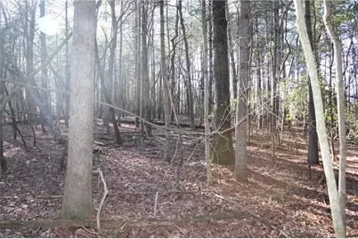 468 Sylvan Road, Thurmond, NC 28683 - Photo 3