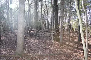 468 Sylvan Rd, Thurmond, NC 28683 - Photo 3