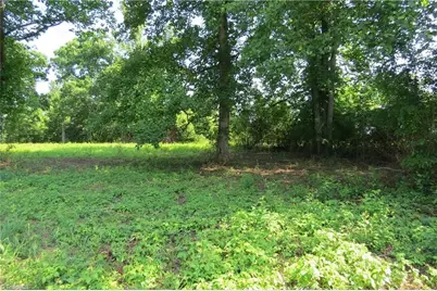 6 Baptist Home Road, North Wilkesboro, NC 28659 - Photo 7