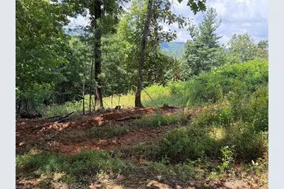 Tbd Lazy Bear Lane, Purlear, NC 28665 - Photo 25