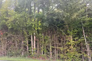 3442 Walters Mill Rd, Providence, NC 27315 - Photo 1