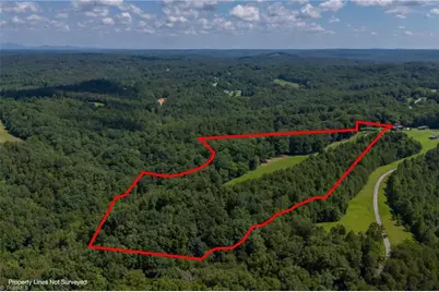 1392 Mission Road, Danbury, NC 27016 - Photo 13