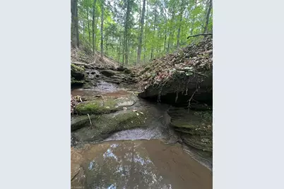 1392 Mission Road, Danbury, NC 27016 - Photo 9