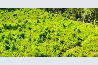 Lot 7 Thayer Road, Trinity, NC 27370 - Photo 29