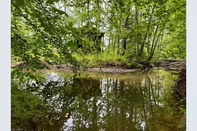 Lot 7 Thayer Road, Trinity, NC 27370 - Photo 15