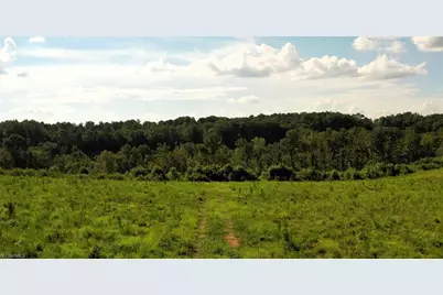 Lot 7 Thayer Road, Trinity, NC 27370 - Photo 17