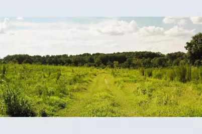 Lot 7 Thayer Road, Trinity, NC 27370 - Photo 13
