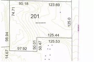 1504 Miller St, Winston-Salem, NC 27103 - Photo 5