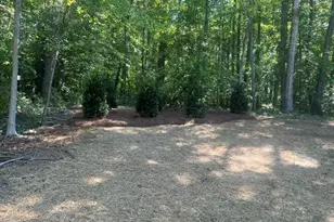814 Montrachet Ct, Lewisville, NC 27023 - Photo 47