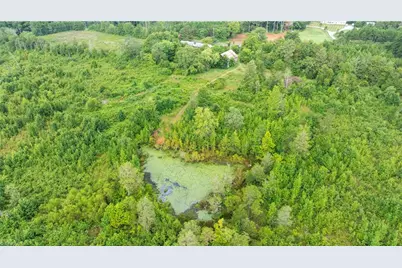 Tract A, 1874 Thayer Road, Trinity, NC 27370 - Photo 5