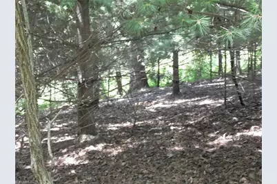 Tbd Hickory View Drive, Sparta, NC 28675 - Photo 11