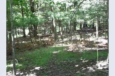 Tbd Hickory View Drive, Sparta, NC 28675 - Photo 3