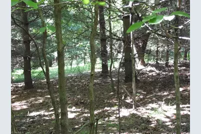 Tbd Hickory View Drive, Sparta, NC 28675 - Photo 9