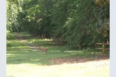 0 Chapel Hill Drive, Troy, NC 27371 - Photo 17