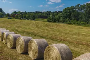 0 Johnson Ridge Rd, Elkin, NC 28621 - Photo 17