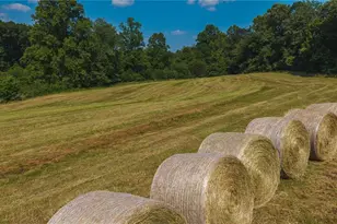 0 Johnson Ridge Rd, Elkin, NC 28621 - Photo 11