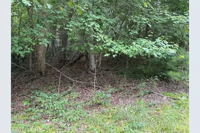 Lots 3 Zinzendorf Lane, Moravian Falls, NC 28654 - Photo 17