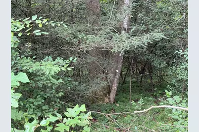 Lot 23 Zinzendorf Lane, Moravian Falls, NC 28654 - Photo 15