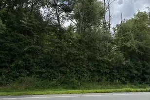 Lot#2 US Hwy 70, Mebane, NC 27302 - Photo 1