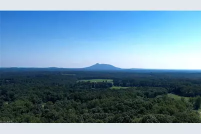 0 Chestnut Ridge Road, Pilot Mountain, NC 27041 - Photo 7