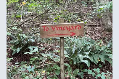 Lot 25 Zinzendorf Lane, Moravian Falls, NC 28654 - Photo 13