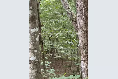 Lot 25 Zinzendorf Lane, Moravian Falls, NC 28654 - Photo 11