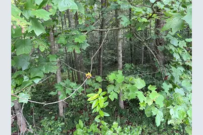 Lot 25 Zinzendorf Lane, Moravian Falls, NC 28654 - Photo 15
