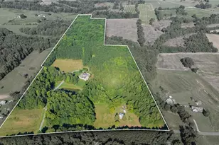 6366 Lineberry Rd, Liberty, NC 27298 - Photo 43