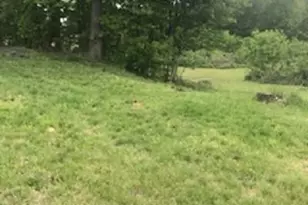 1710 Freeway Dr., Reidsville, NC 27320 - Photo 9