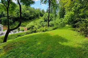 10298 Nc Hwy 18 S, Laurel Springs, NC 28644 - Photo 15