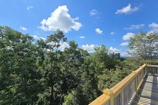 979 Wagon Rd, Warrensville, NC 28693 - Photo 45