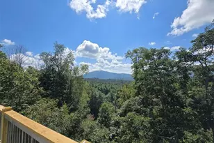 979 Wagon Rd, Warrensville, NC 28693 - Photo 43